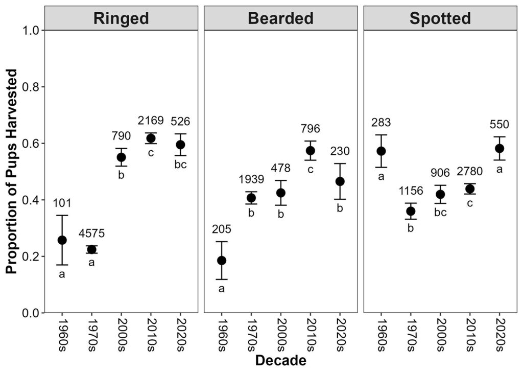 Graphs of the mean proportion of ringed, bearded, and spotted seal pups in the sampled subsistence harvest from 10 villages of the Alaskan Bering, Chukchi, and Beaufort Seas during the 1960s, 1970s, 2000s, 2010s, and 2020s